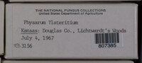 Image Associated With the Occurence